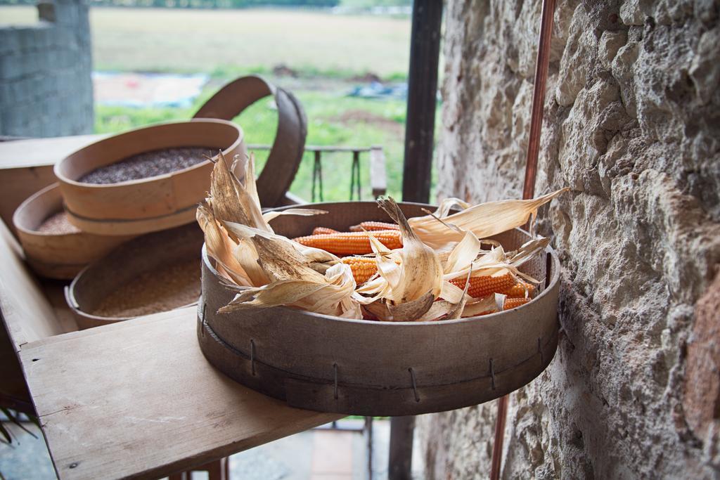 Вілла Don Carlo Agriturismo Di Charme Bio Le Pioppe Екстер'єр фото