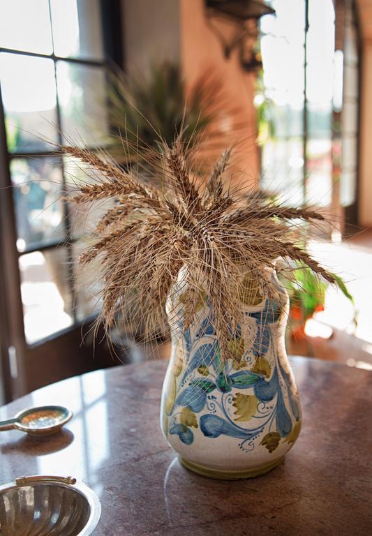 Вілла Don Carlo Agriturismo Di Charme Bio Le Pioppe Екстер'єр фото