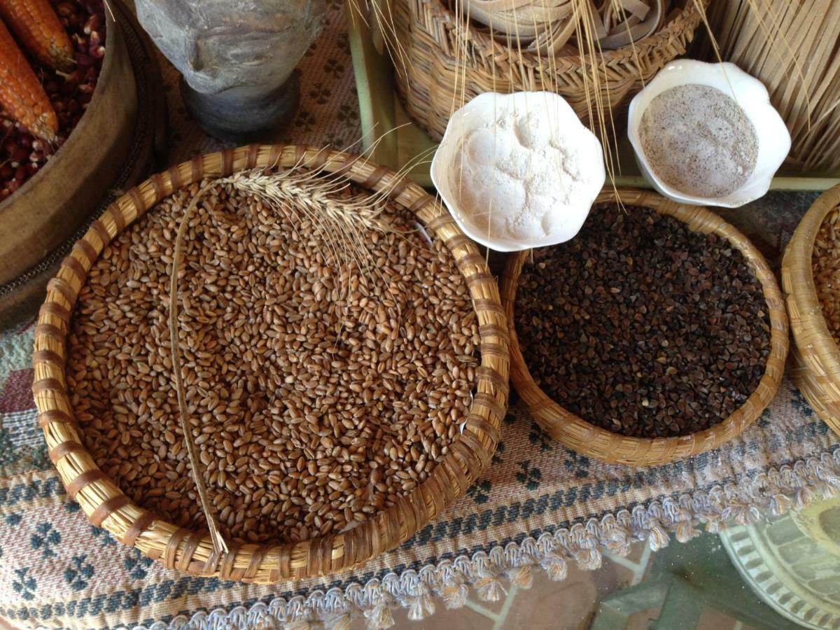 Вілла Don Carlo Agriturismo Di Charme Bio Le Pioppe Екстер'єр фото