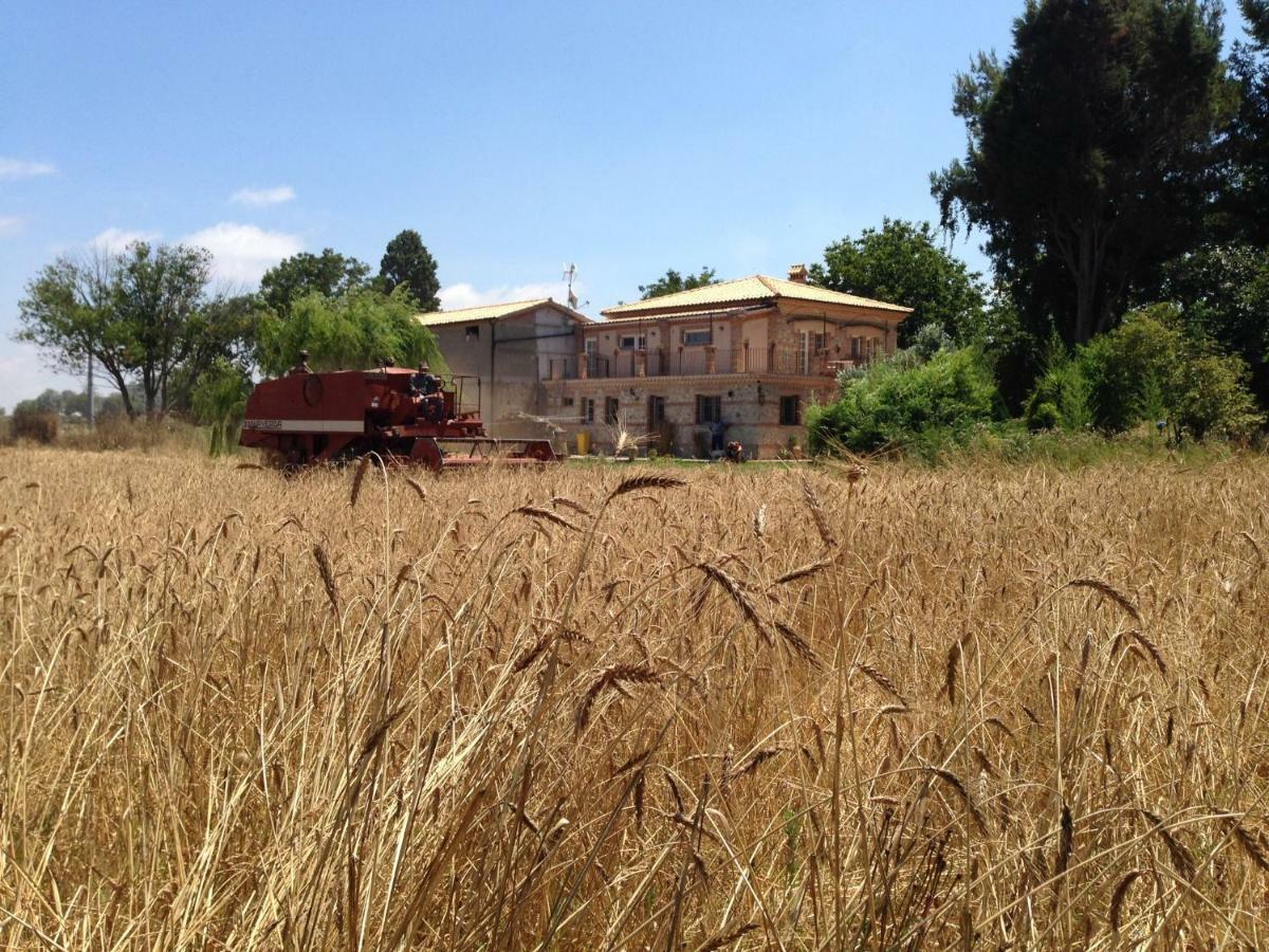 Вілла Don Carlo Agriturismo Di Charme Bio Le Pioppe Екстер'єр фото