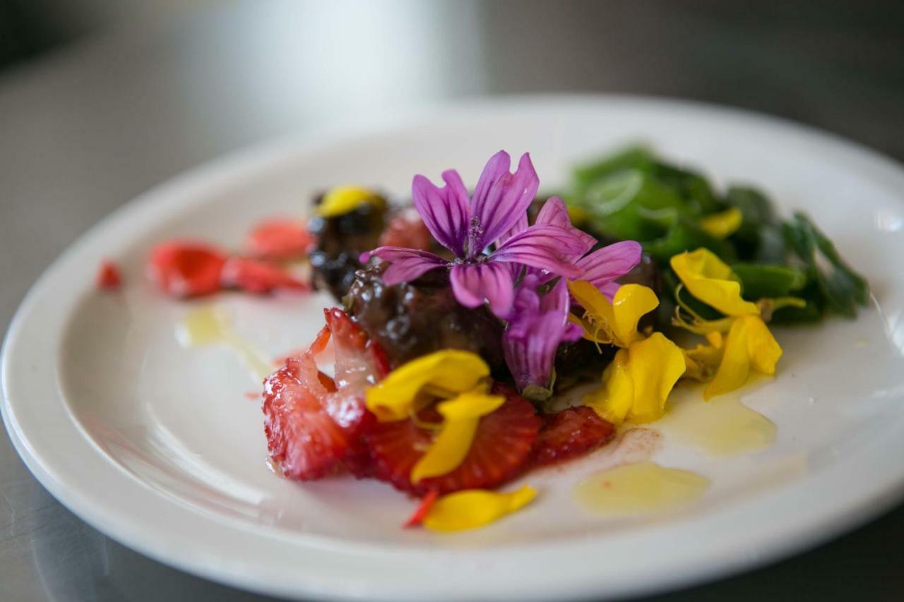 Вілла Don Carlo Agriturismo Di Charme Bio Le Pioppe Екстер'єр фото